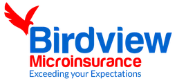Birdview Microinsurance